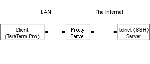 Proxy connection